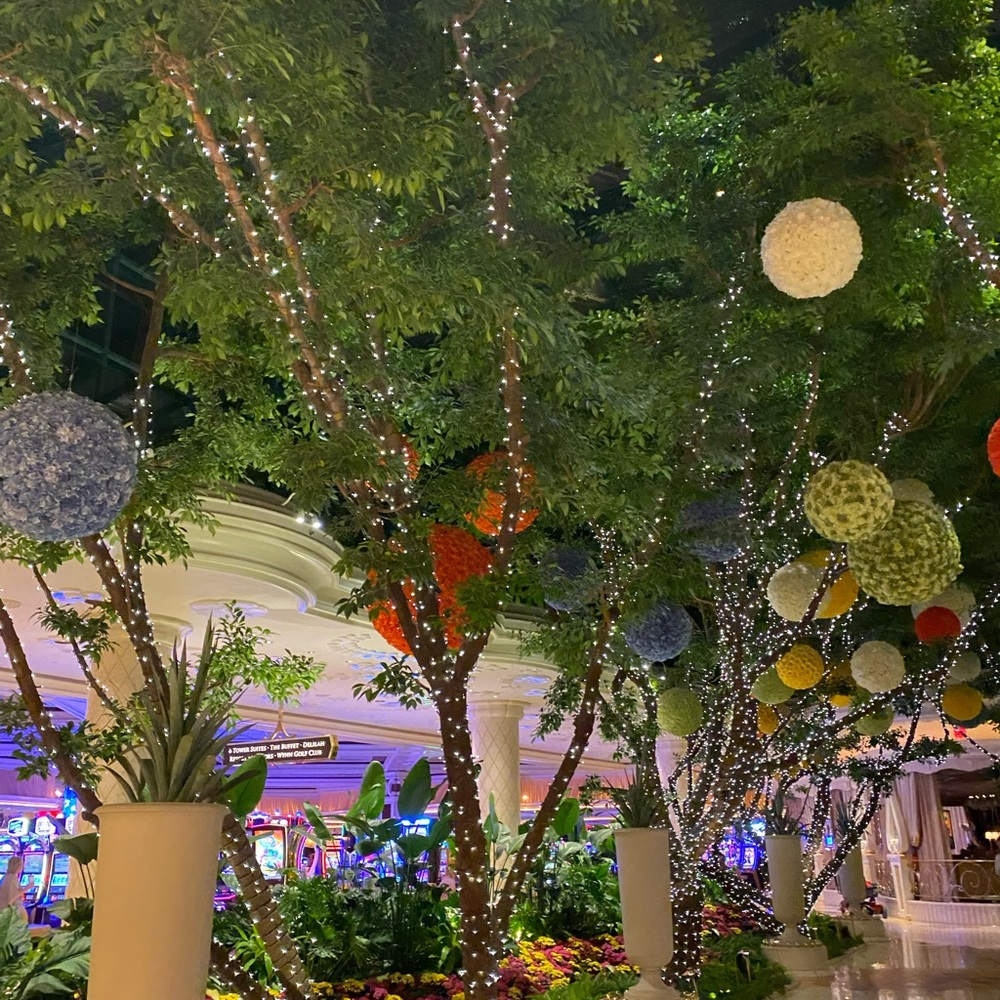 Meet your Posher, Theresa